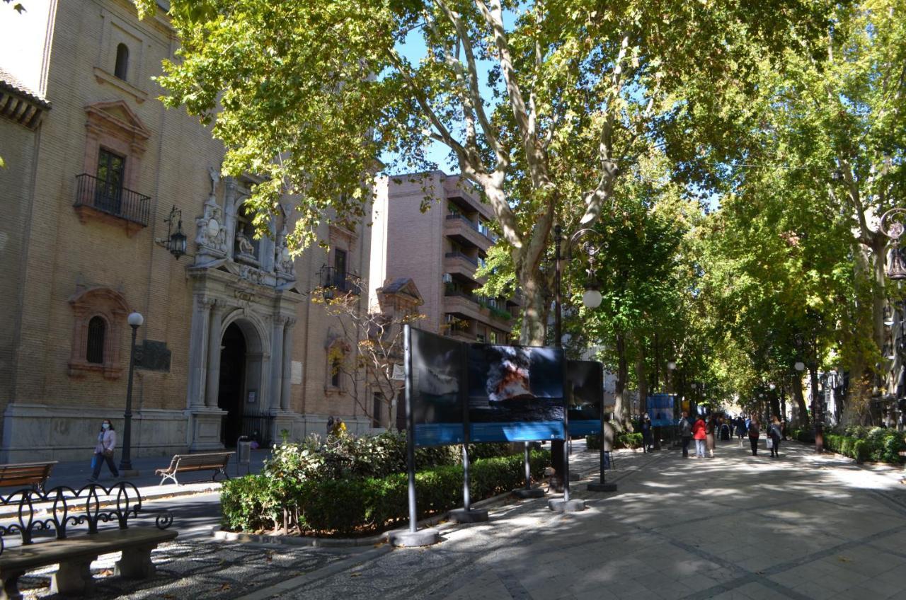 Carmela Suites Apartamento De Dos Dormitorios Granada Exteriér fotografie